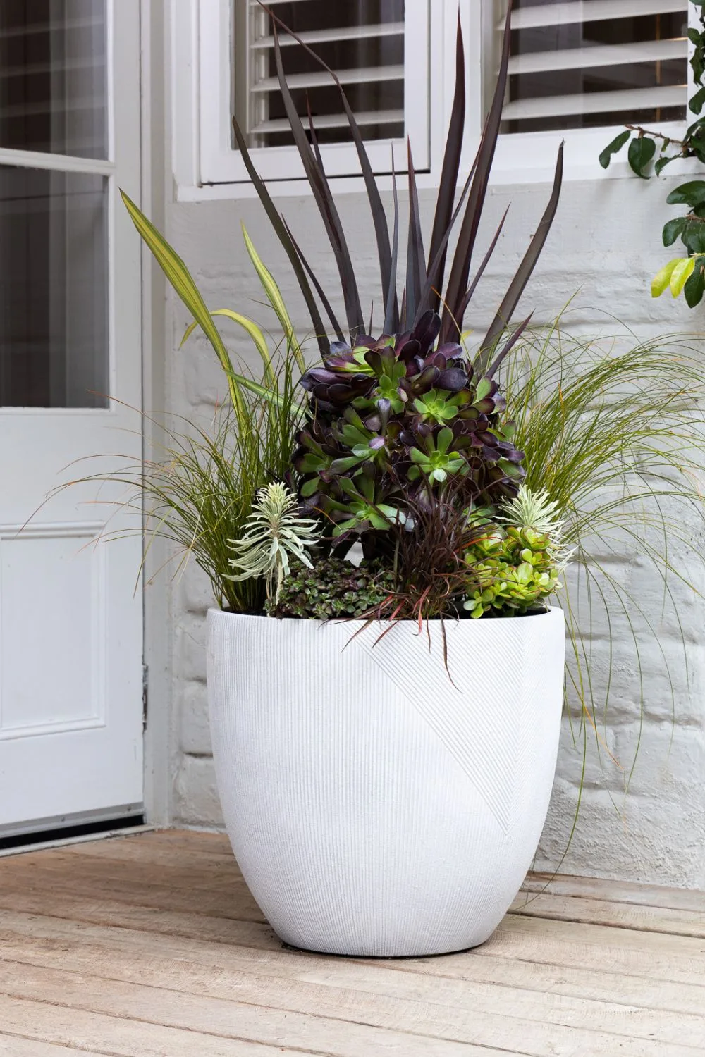Northcote Pottery potted combo