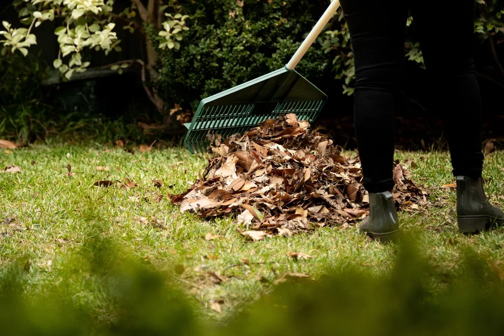 garden leaf raking