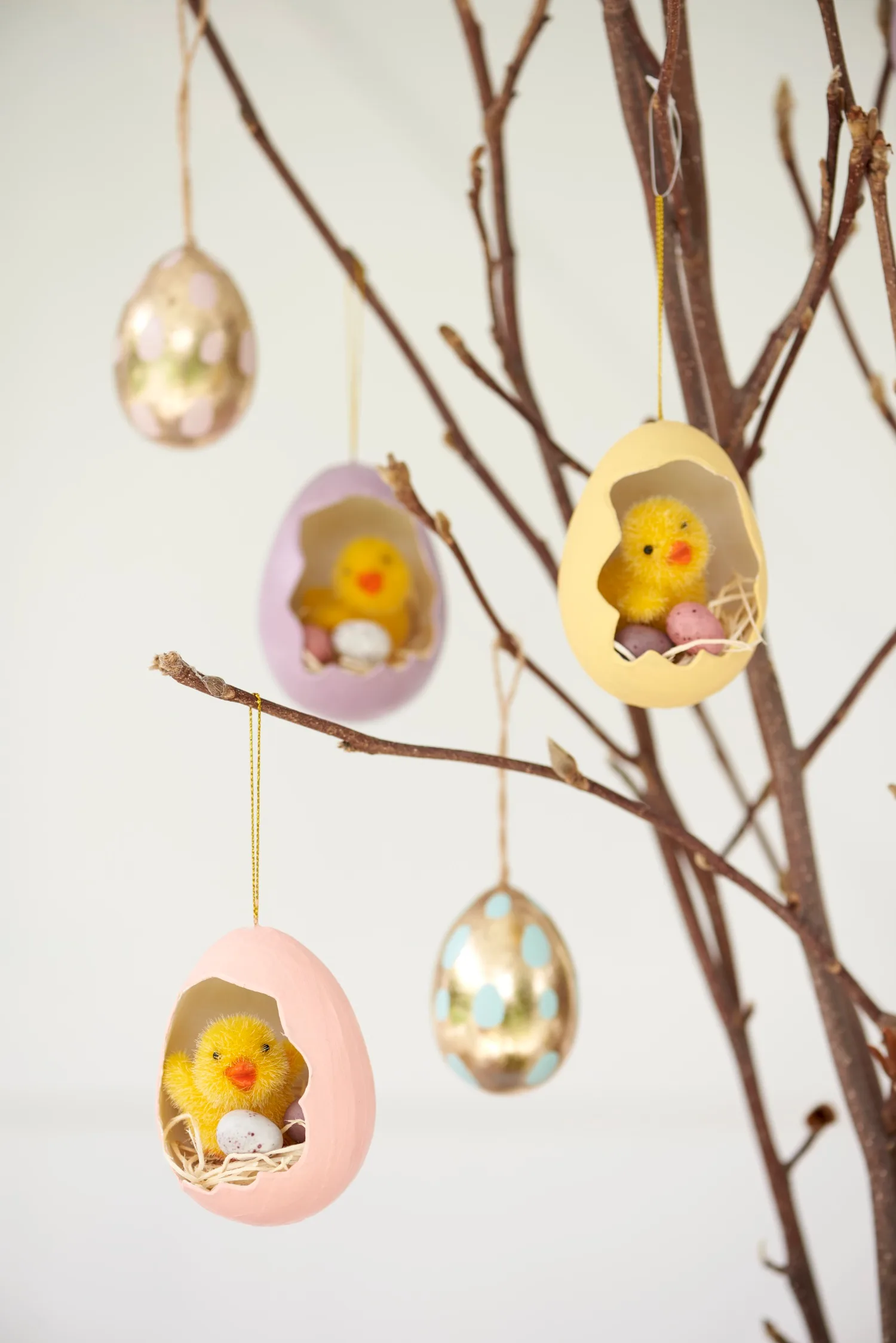 Hang egg and chick nests from branch arrangement.