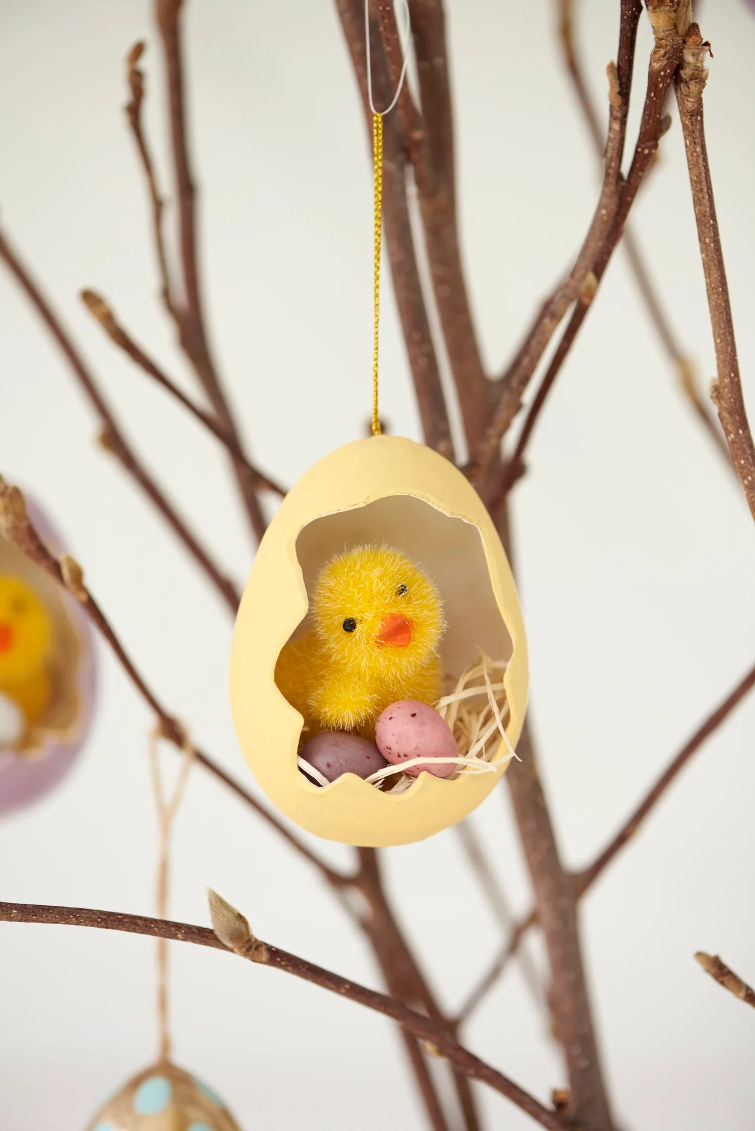 Hang egg and chick nests from branch arrangement.