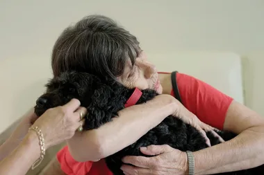 How to stop your dog barking at the doorbell