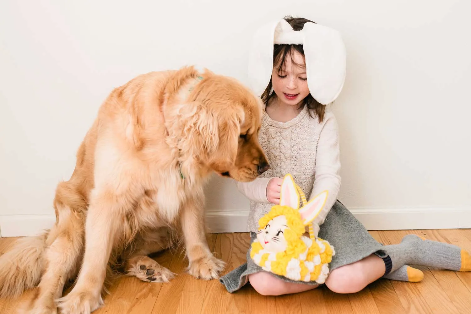 dog with easter eggs