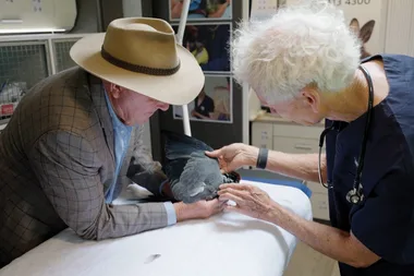 Dr Harry visits Australia’s first Mobile Wildlife Clinic