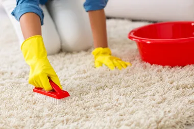 This is the easiest way to get wax out of carpet