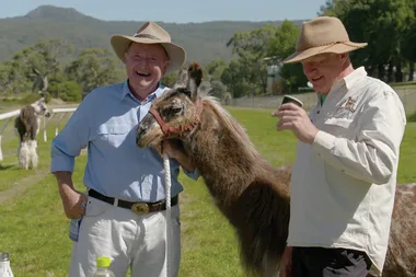 Dr Harry goes trekking with llamas