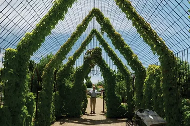 Graham visits the Bungalow & Ivy Leaf Chapel