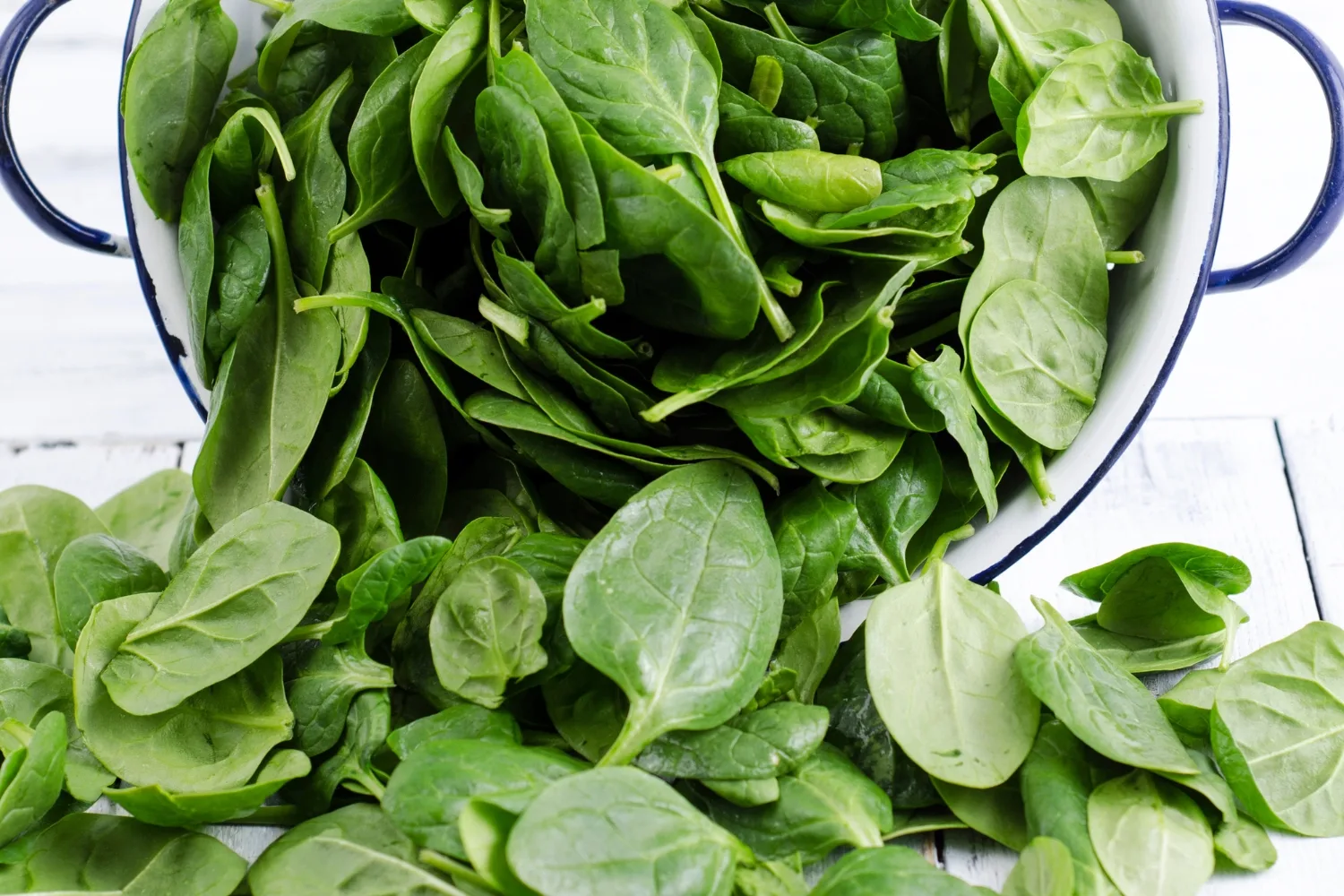 How to grow spinach