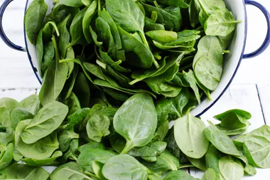 How to grow spinach