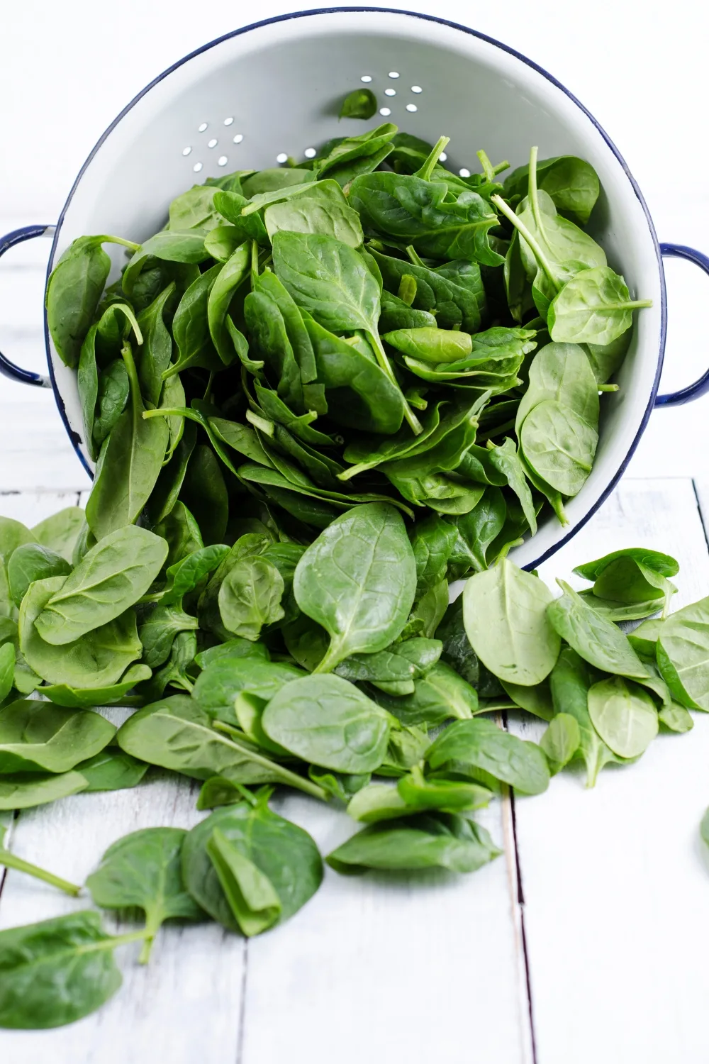 How to grow spinach