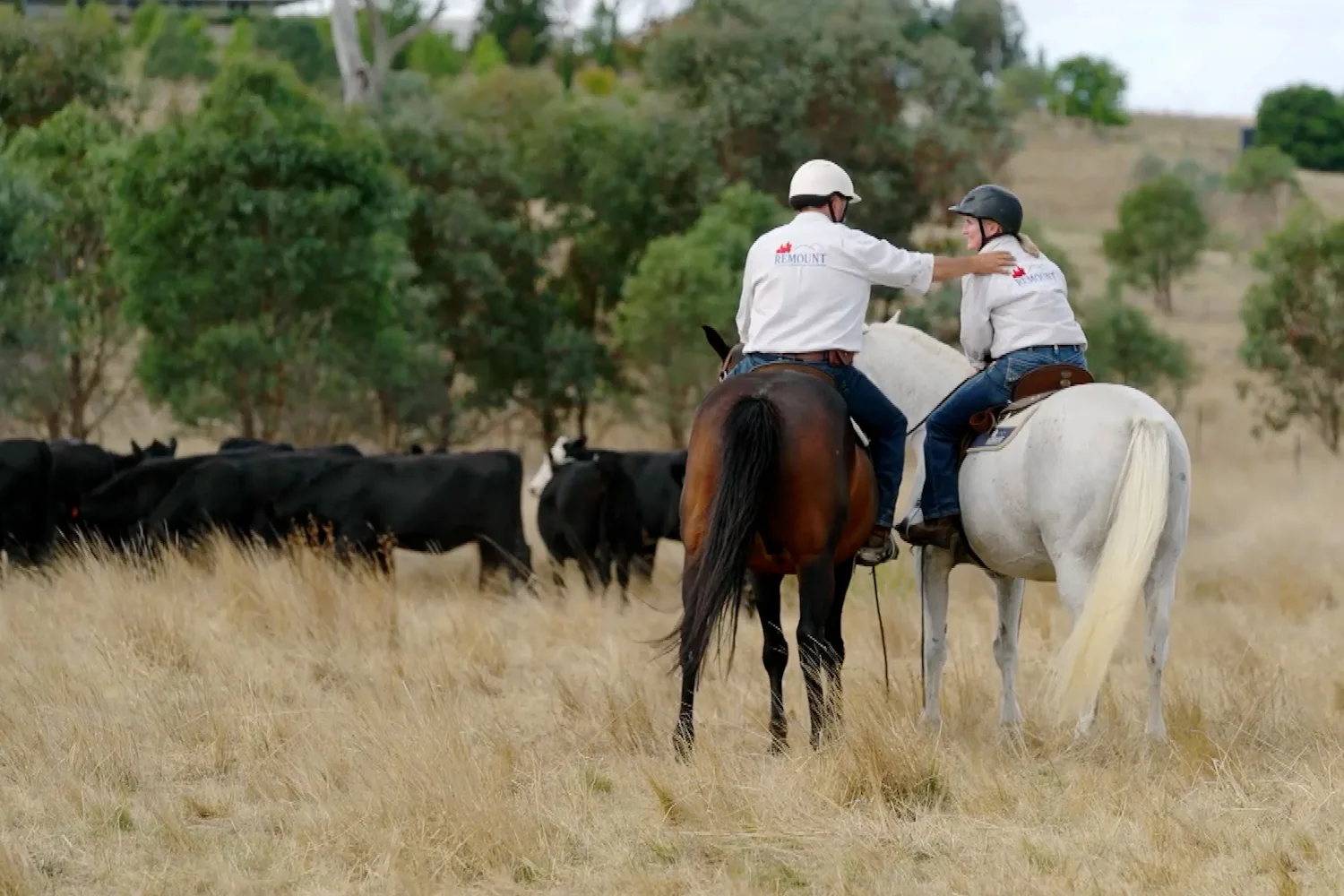 Dr Harry visits the Remount program for Aussie veterans