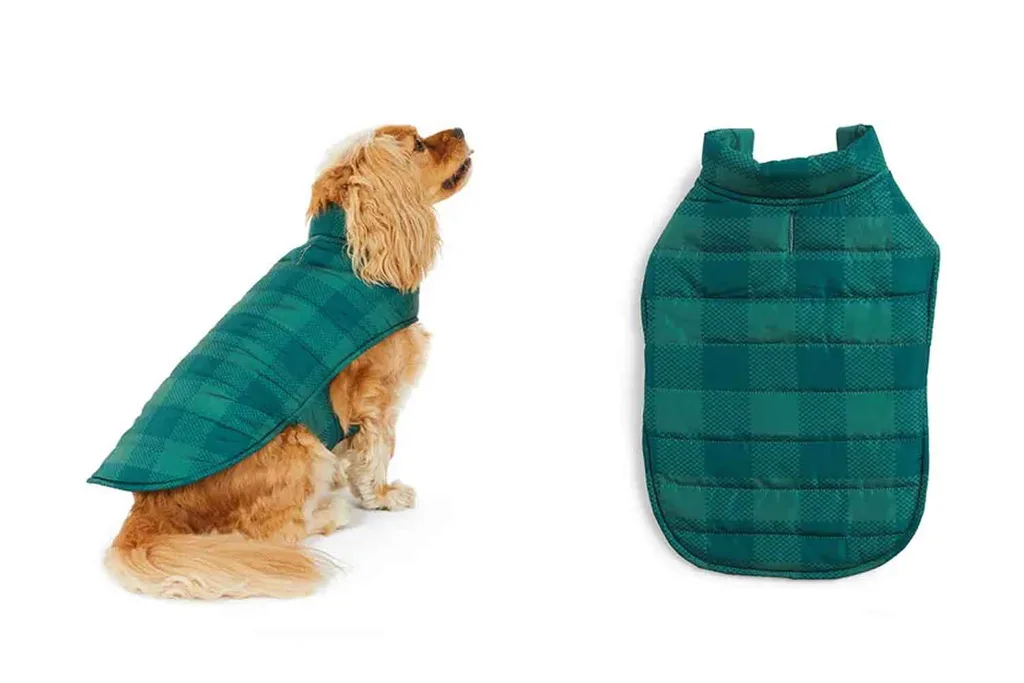 petbarn winter fashion range