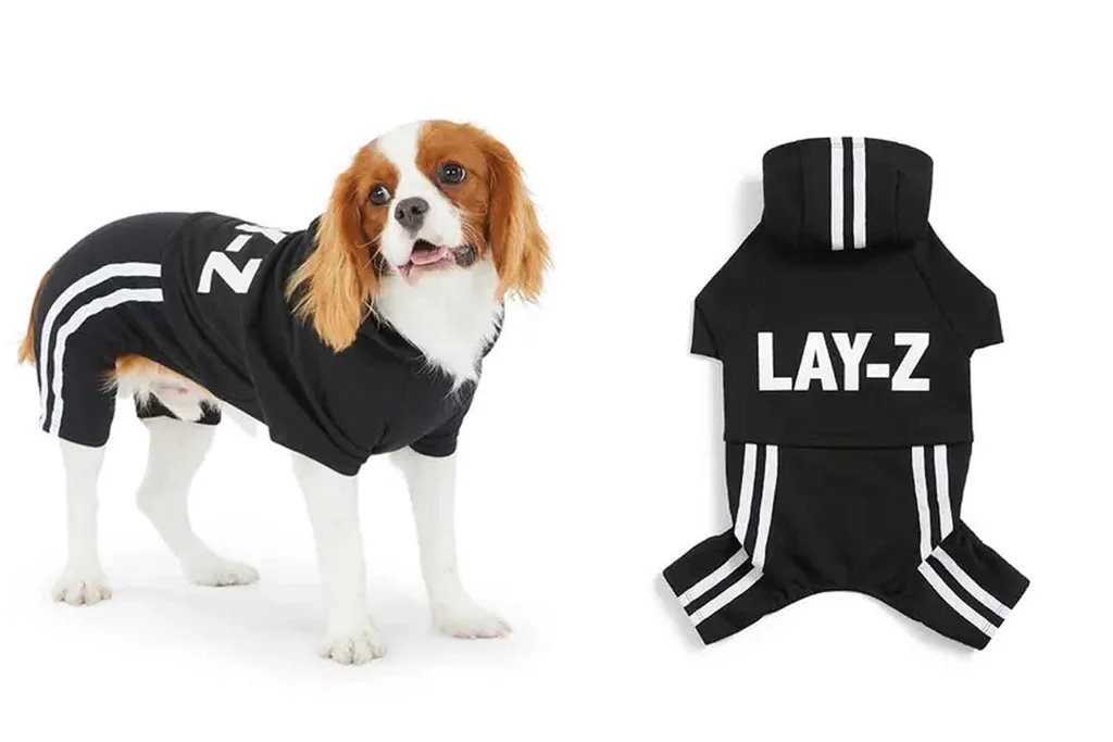 petbarn winter fashion collection
