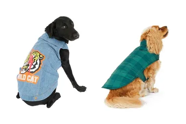 Petbarn’s winter fashion range is here – and it’s adorable!