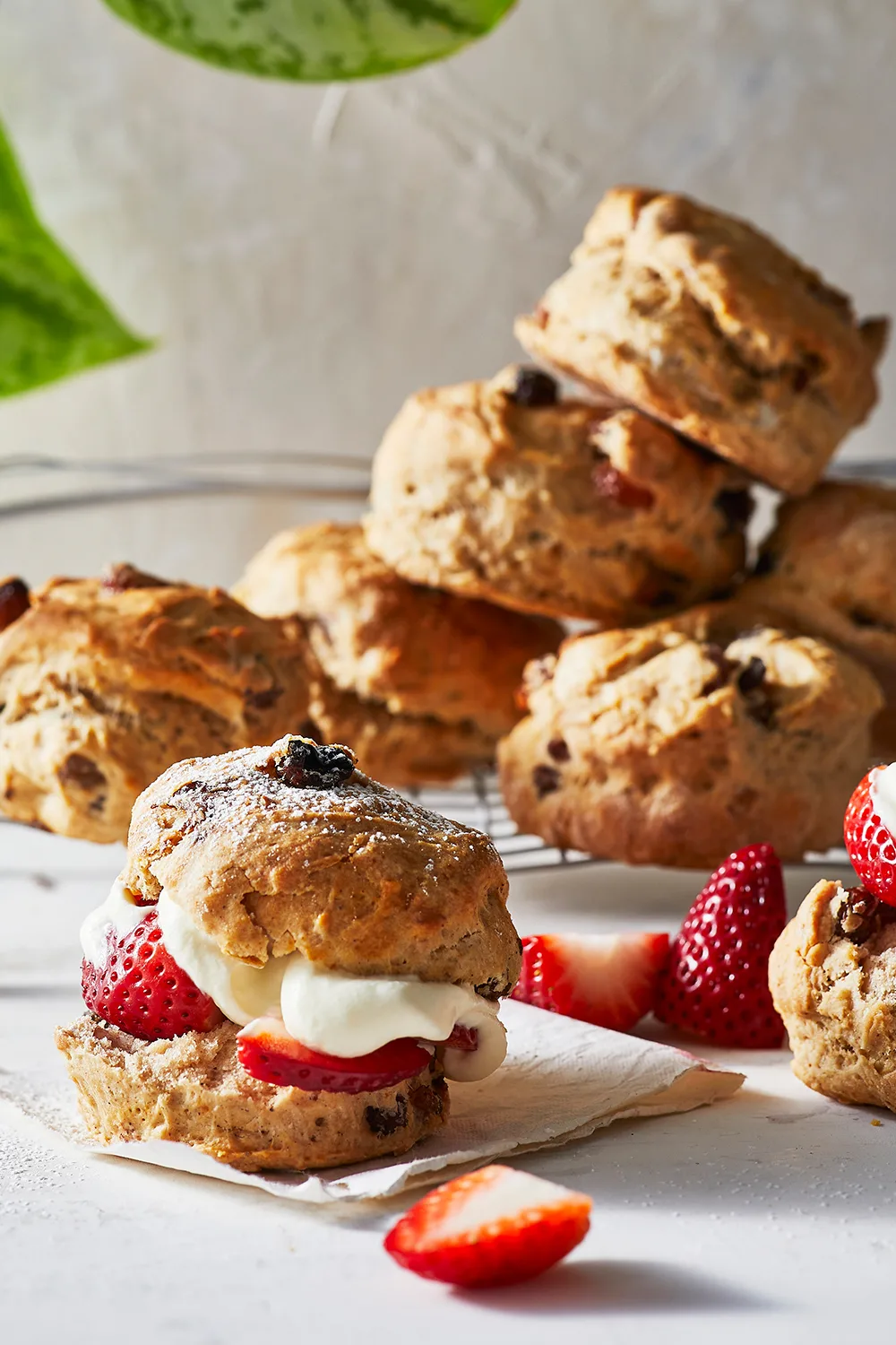 Sultana scones