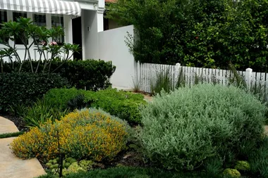 Graham visits a small garden with a big wow factor