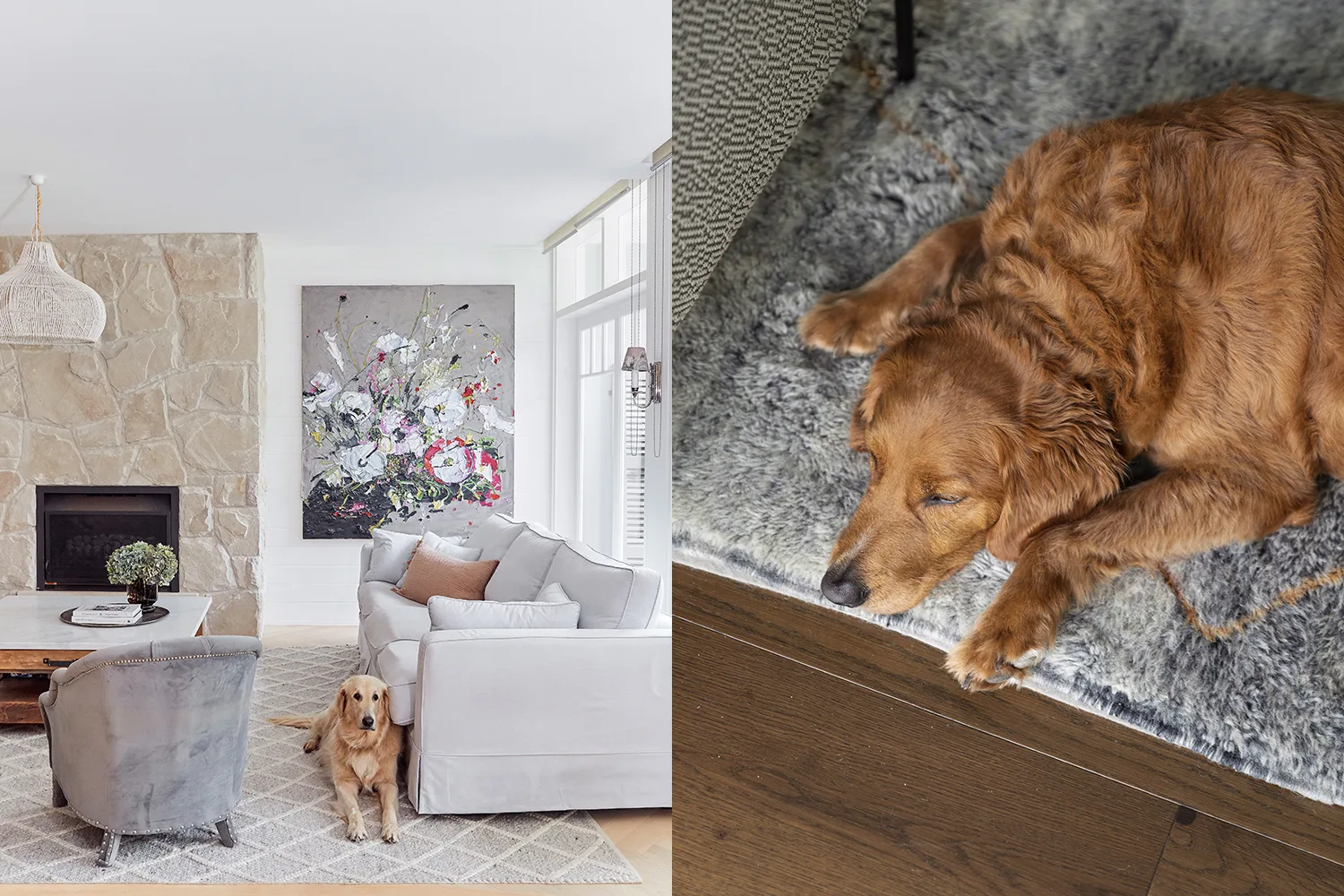golden dog laying on rug indoors