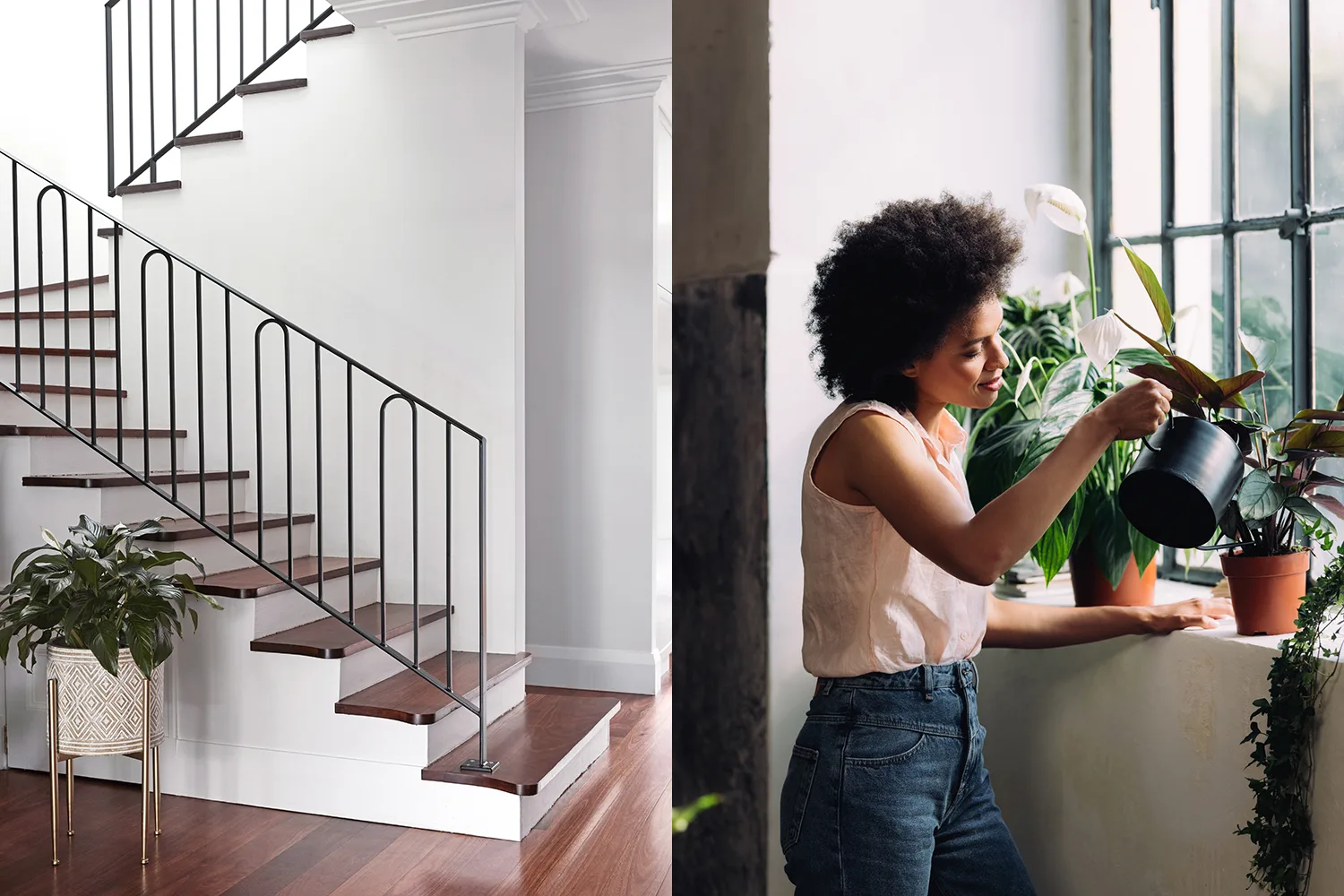 plants in pots indoors and woman watering plants on a windowsill