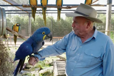 Dr Harry visits Zambi Wildlife Retreat