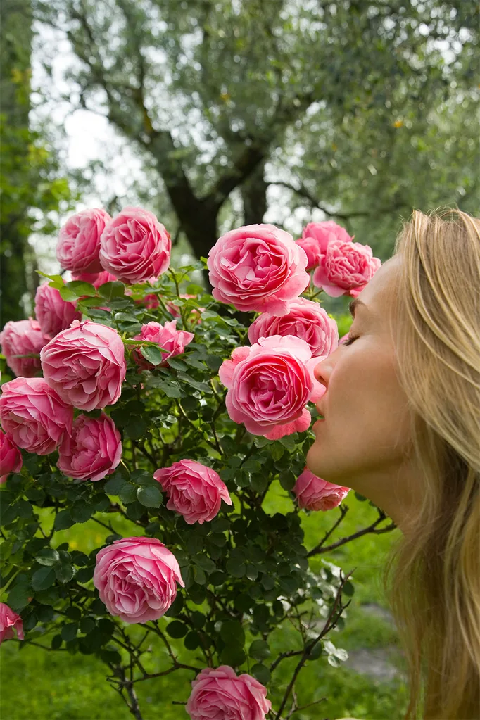 Woman smelling roses
