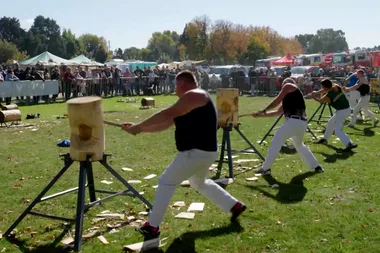 Wood chopping: Adam learns everything there is to know about the sport