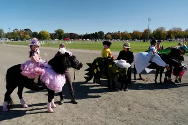 Dr Harry goes behind the scenes at the Royal Bathurst Show