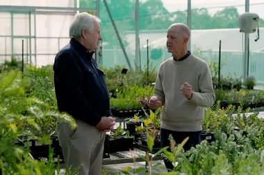 Graham meets the Australian Botanic Garden’s ‘plant protector’
