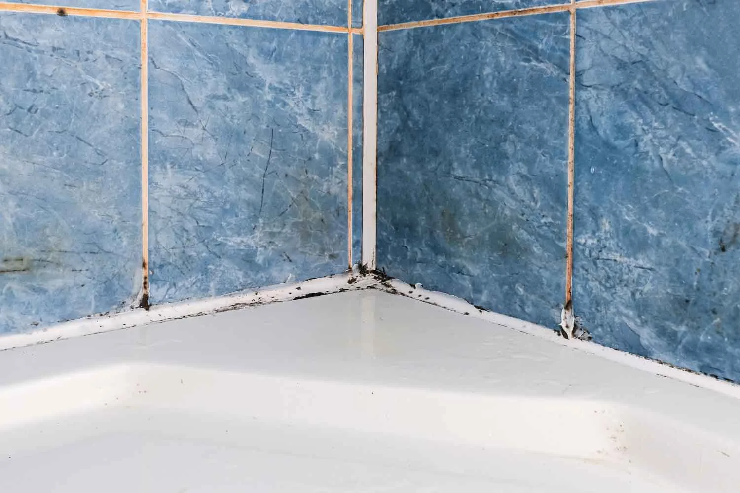 bathroom mould in the shower grout