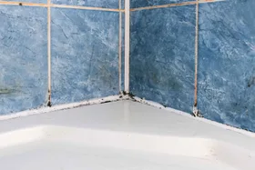 bathroom mould in the shower grout