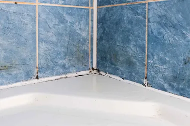 bathroom mould in the shower grout