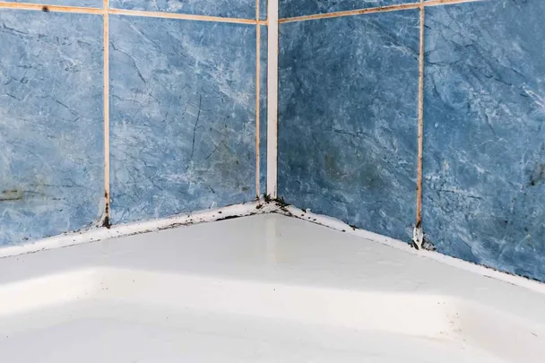 bathroom mould in the shower grout