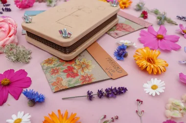 Take the guesswork out of gardening with these flower seed subscription boxes