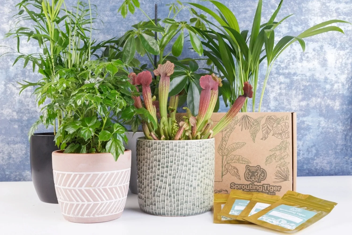 flower seed subscription cratejoy