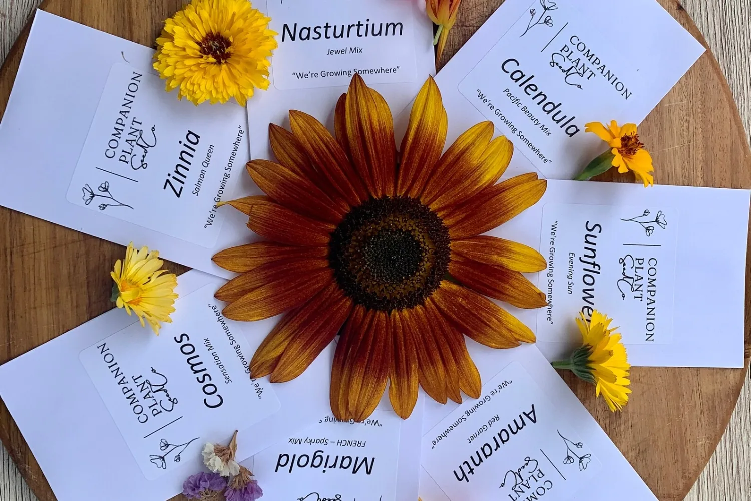 flower seed subscription etsy