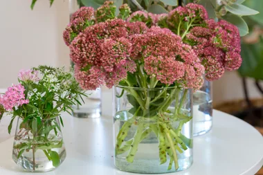 Clever hack for making a perfect flower arrangement, every time