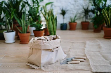 Give your garden some much needed TLC with a subscription box