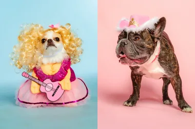Petbarn has released hilarious Dolly Parton pet apparel and toys