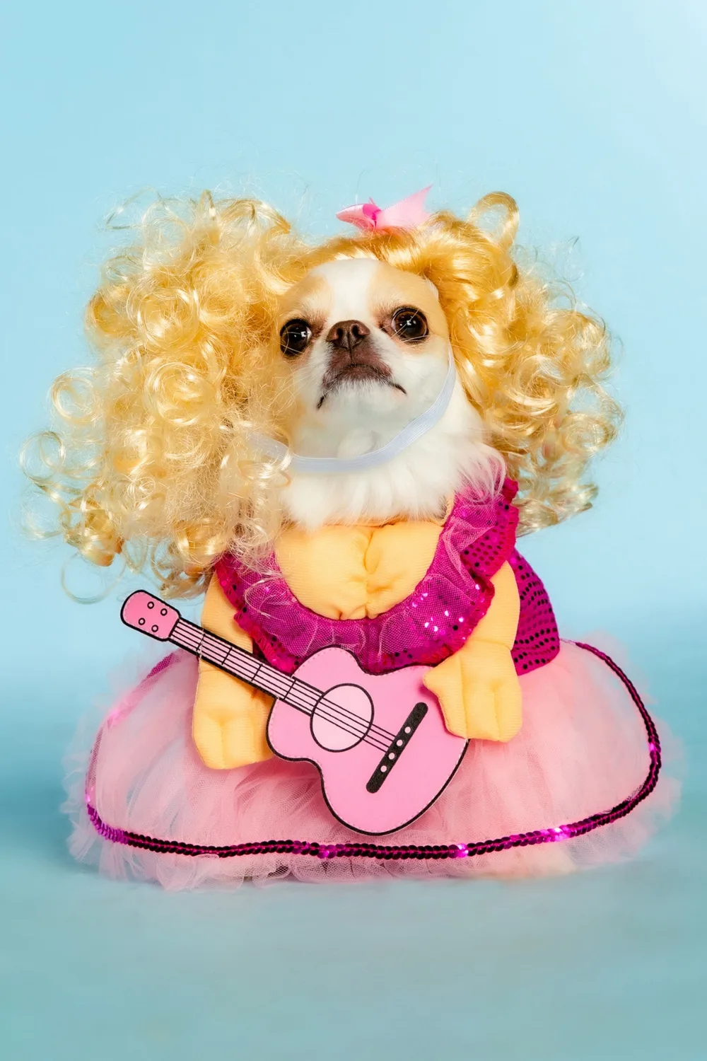 dolly parton pet apparel