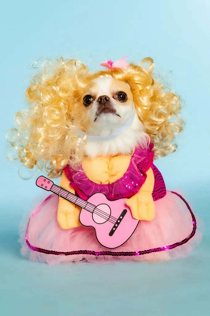 dolly parton pet apparel