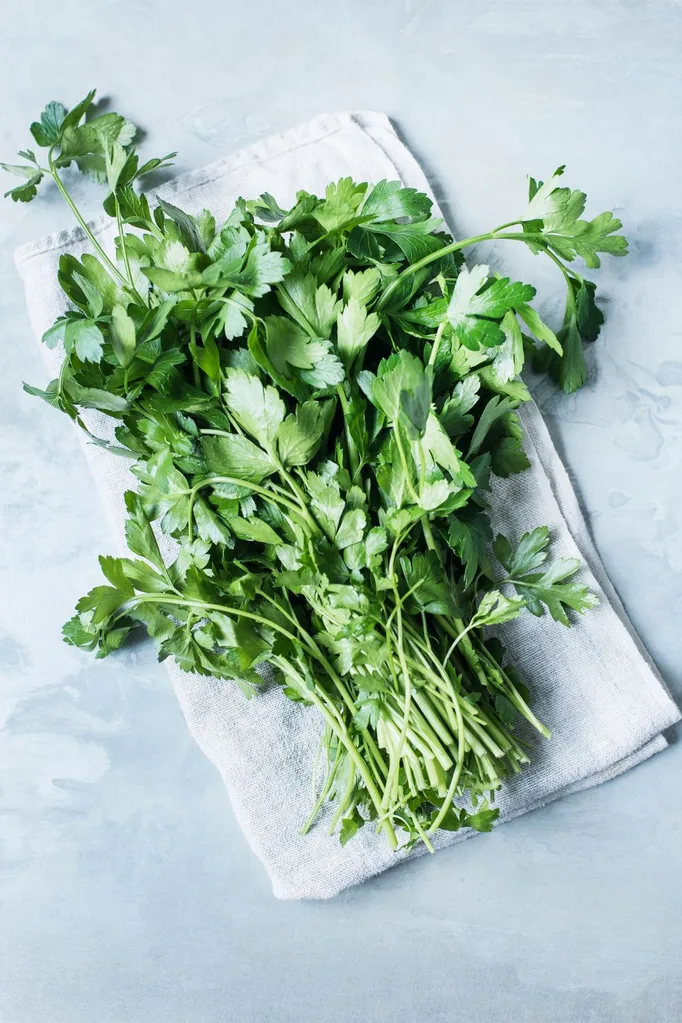 cilantro on a towel