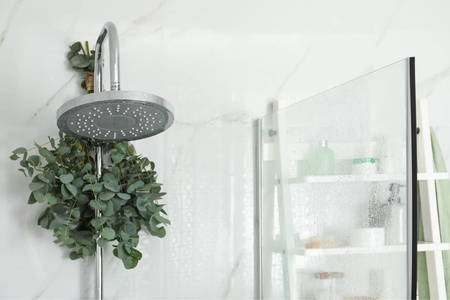eucalyptus leaves in the shower