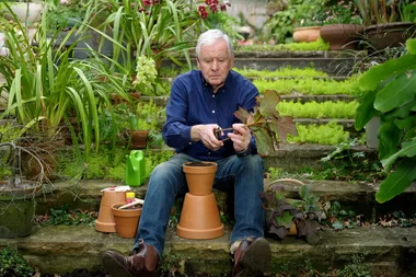 Graham’s top spring gardening jobs to put on your list this weekend