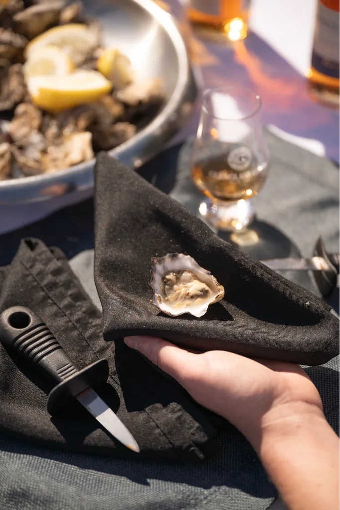 oyster tours
