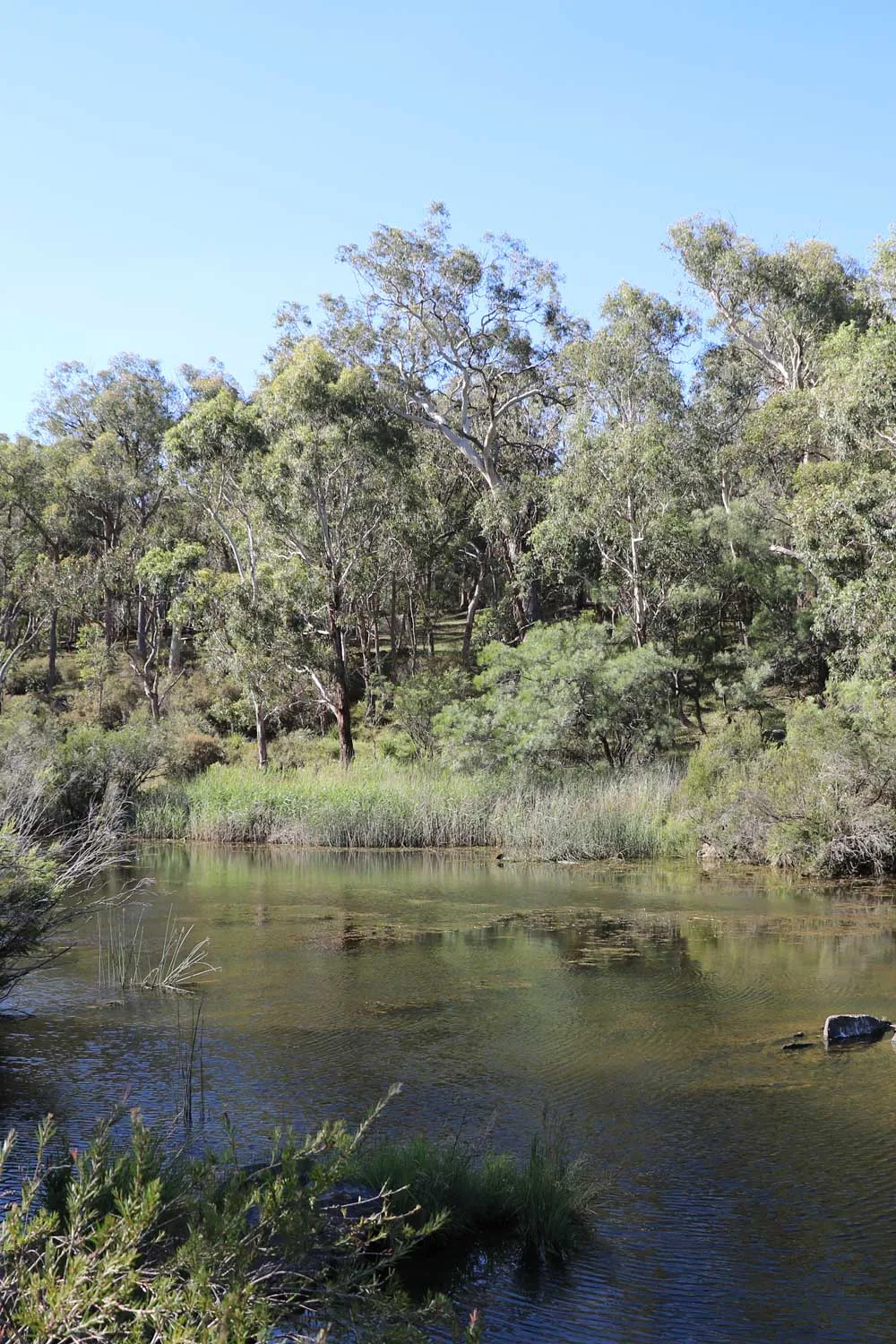 camping spot nsw