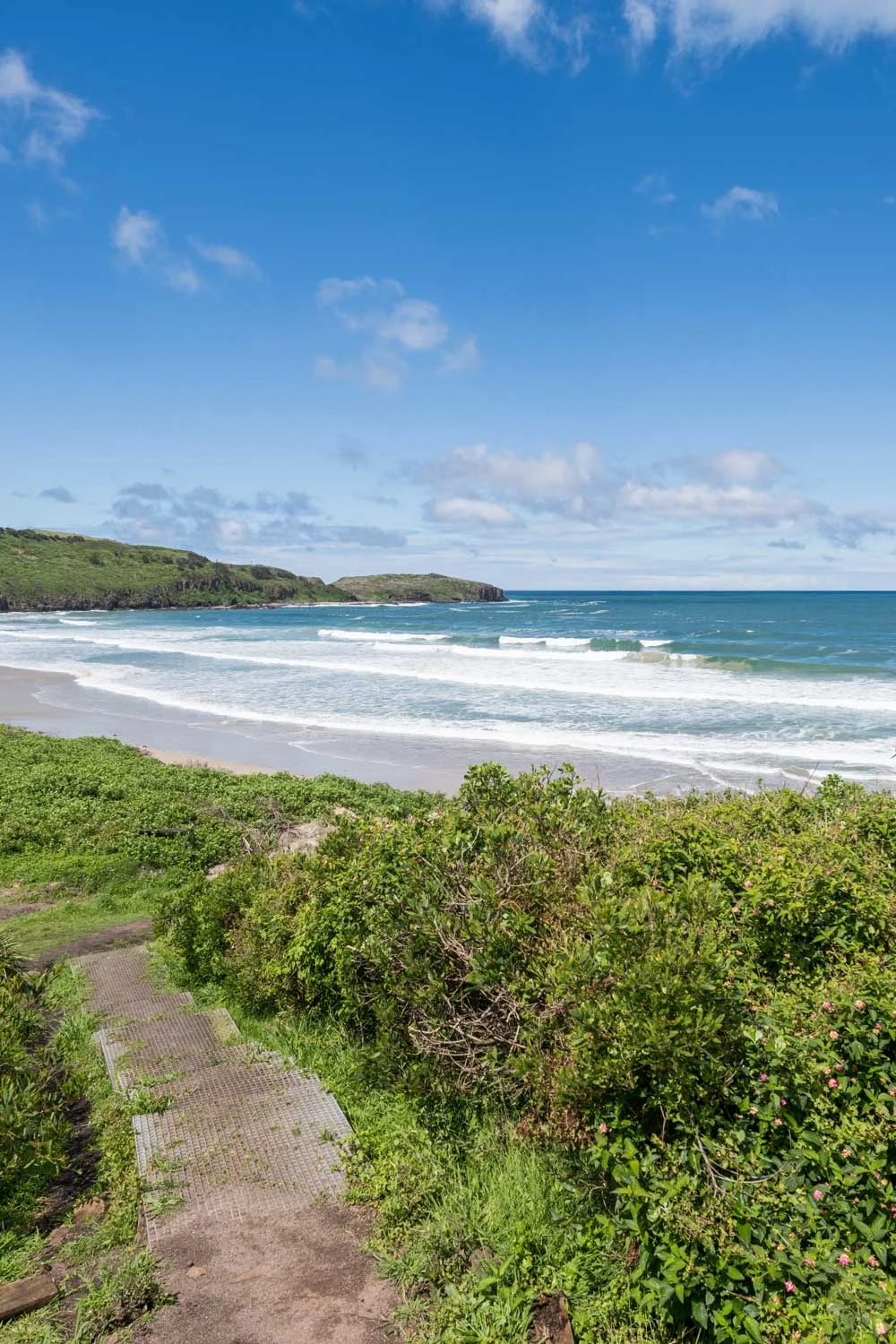 killalea camping spot nsw