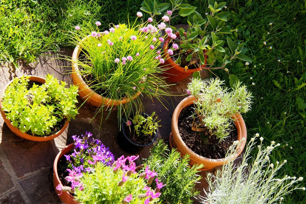 Growing plants in pots allows for easy rearranging whenever you like.