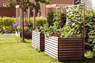 Fill your raised garden bed for less with this centuries-old trick