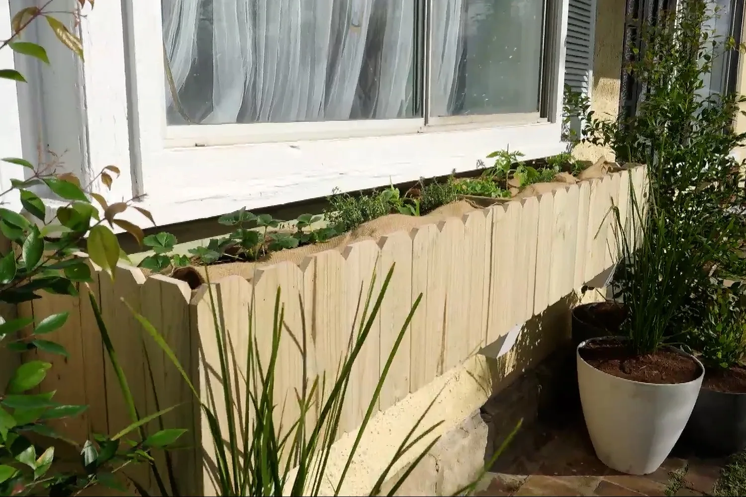 Charlie Albone’s DIY planter box