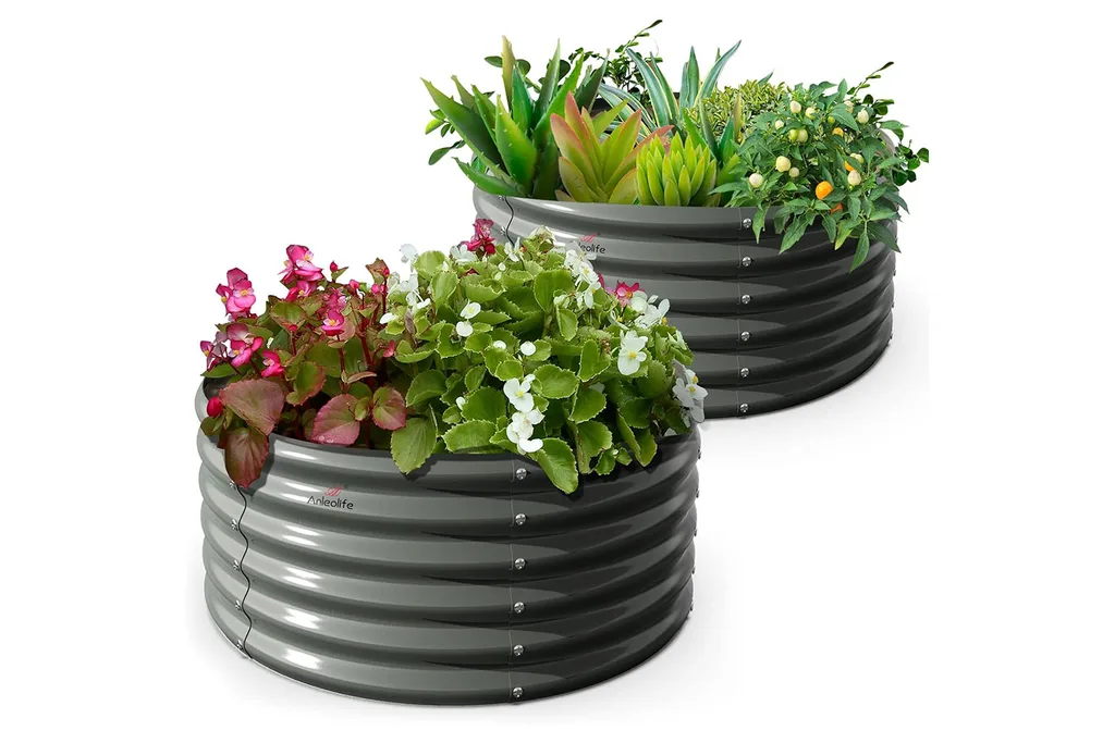 rasied garden bed