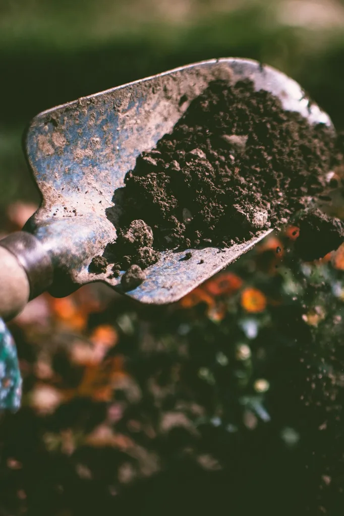 wicking garden bed soil