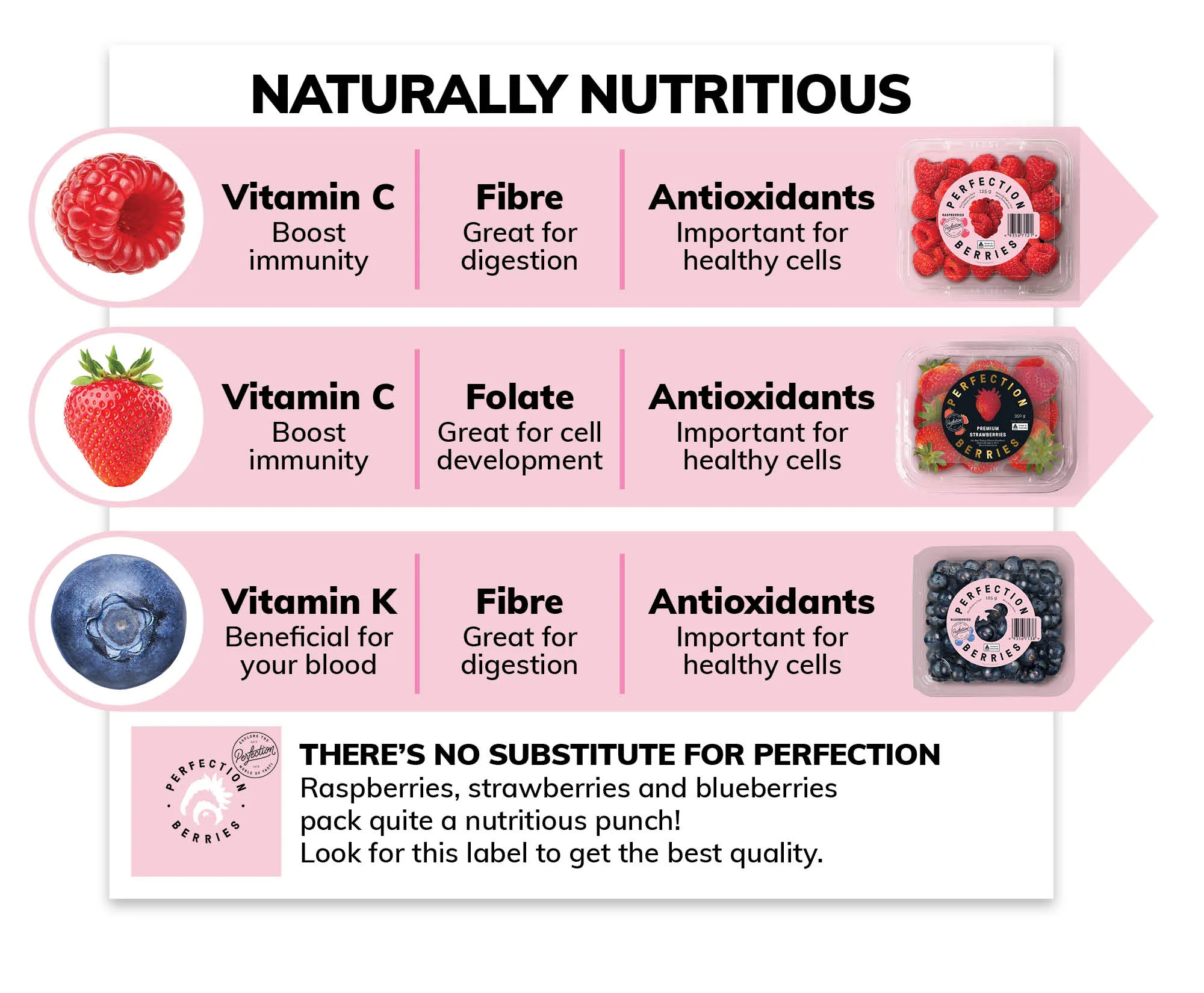 berry infographic